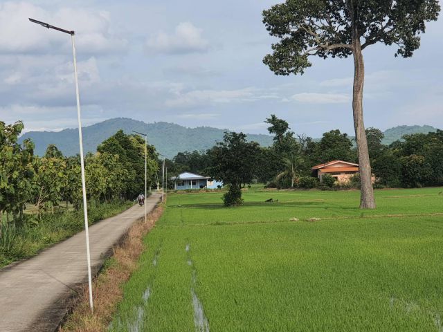 ที่ดินเเบ่งขาย  2 ไร่ วิวเขาสวย