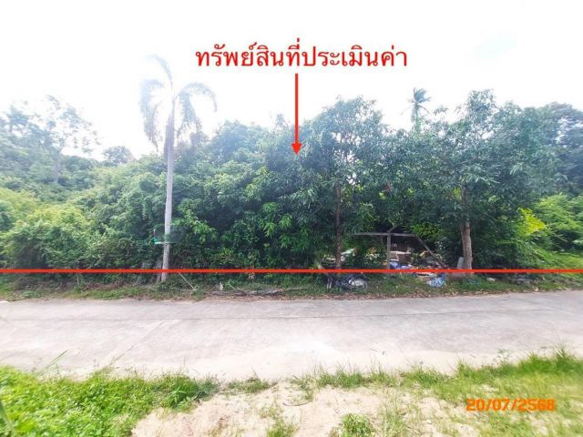ขาย ที่ดิน สุราษฎร์ธานี   อำเภอ เกาะสมุย จังหวัด สุราษฎร์ธานี