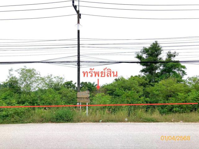ขาย ที่ดิน สุราษฎร์ธานี  อำเภอ ไชยา จังหวัด สุราษฎร์ธานี