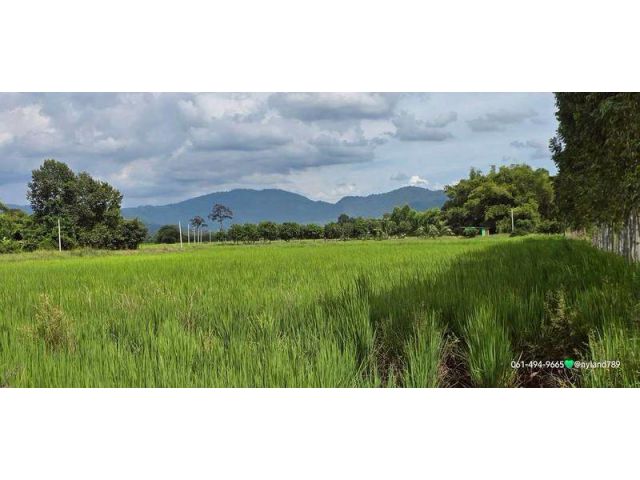 ขายที่ดินสวยติดถนนลาดยาง วิวภูเขา มีสวนผลไม้ เขาเพิ่ม บ้านนา จ.นค