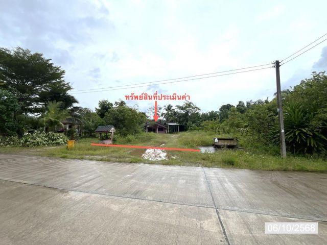 ขาย บ้านเดี่ยว สุราษฎร์ธานี  อำเภอ ชัยบุรี จังหวัด สุราษฎร์ธานี