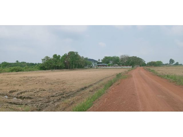 ขายที่ดินบางยาง 40 ไร่ ติดคลองติดแม่น้ำบางปะกง ใกล้ถนนเส้น3626-2กม. อ.บ้านสร้าง ปราจีนบุรี