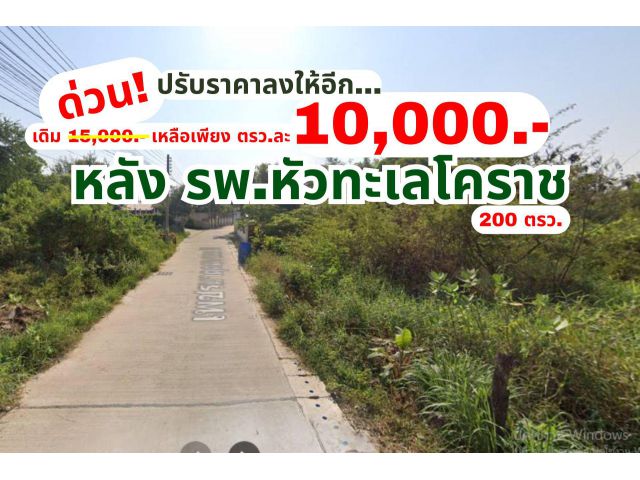 ราคาต่ำน่าเก็บมากกก! ปล่อยด่วน! 200 ตรว.