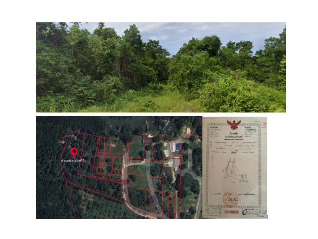 ที่ดินติดลำคลอง มีป่าโกงกาง
