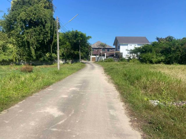 ขายที่ดินตำบลสุเทพแปลงมุมติดถนนคอนกรีตพร้อมโอน