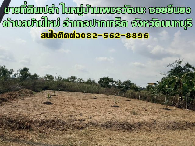 ขายที่ดินเปล่า ในหมู่บ้านเพชรวัฒนะ ซอยยืนยง ปากเกร็ด นนทบุรี