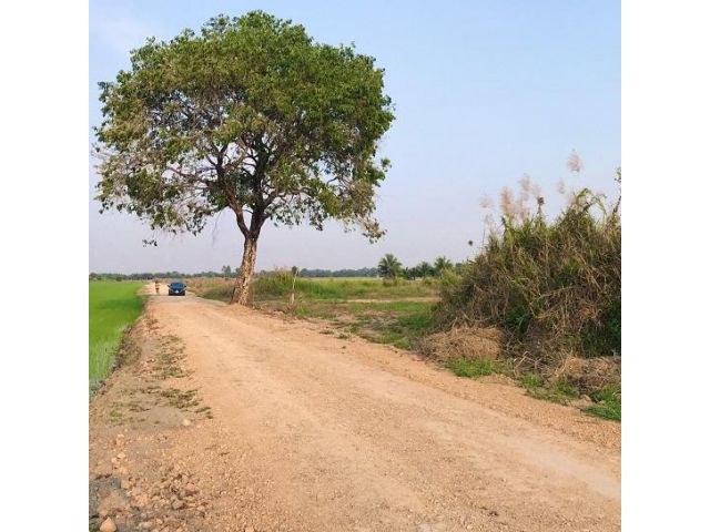 ขายที่ดินถมแล้ว คลองแปด หนองเสือ ฝั่งตะวันออก จ.ปทุมธานี