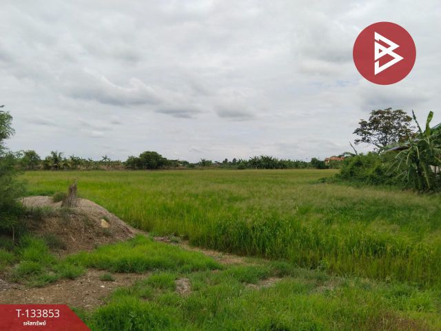 ขายที่ดิน เนื้อที่ 17 ไร่ 2 งาน 9.2 ตร.วา บางเลน นครปฐม
