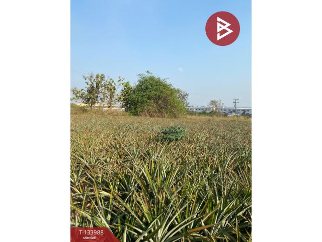 ขายที่ดิน เนื้อที่ 7 ไร่ นิคมพัฒนา ระยอง