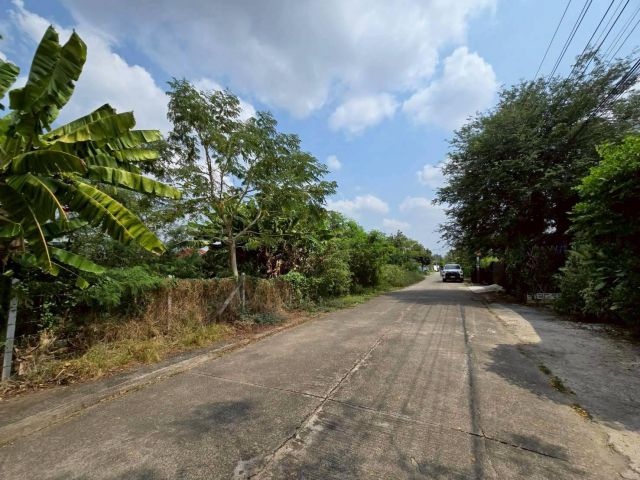 ขายด่วนที่ดิน 225 ตรว ติดถนนคอนกรีตสาธารณะ หมู่บ้านบางใหญ่การ์เด้น บางใหญ่ นนทบุรี