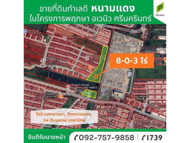 ขายที่ดิน ทำเลดี พร้อมโอน เข้าออกได้หลายทาง