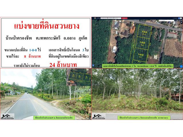 แบ่งขายที่ดินสวนยาง 3 แปลงละ ขนาด 1-0-0 ไร่  บ้านป่าครองชีพ  ต.เทพกระษัตรี  อ.ถลาง  ภูเก็ต