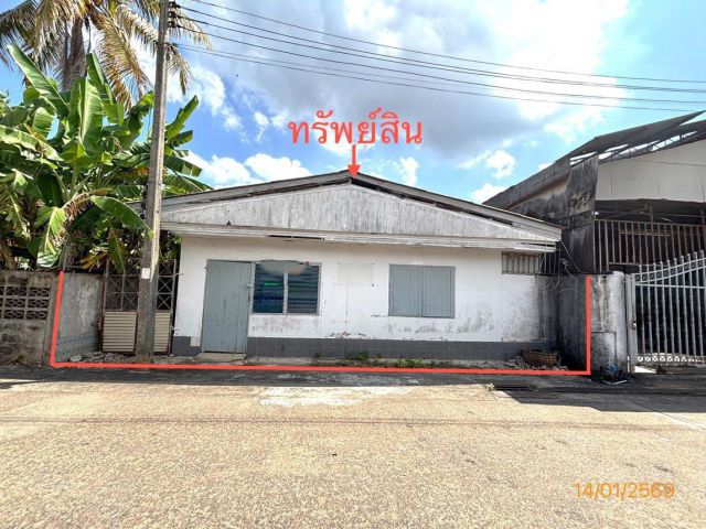 ขาย บ้านเดี่ยว สุราษฎร์ธานี