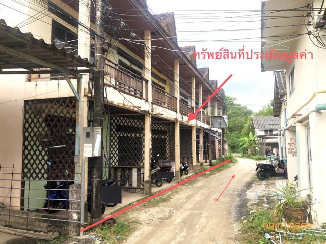 ขาย บ้านเดี่ยว สุราษฎร์ธานี อำเภอ เกาะสมุย จังหวัด สุราษฎร์ธานี