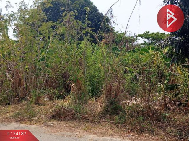 ขายที่ดิน เนื้อที่ 2 งาน 84 ตร.วา แหลมสิงห์ จันทบุรี