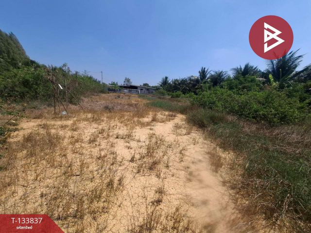 ขายที่ดิน เนื้อที่ 1 งาน 20 ตร.วา คูบัว ราชบุรี