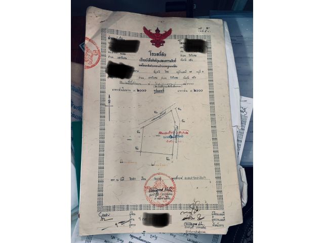 ขายด่วน! ที่ดินป่ายางทำเลทอง นส.4 จ. ครุฑแดง 4 ไร่กว่า พร้อมทำรายได้ทันที