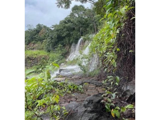 ขายที่สวนน้ำตกสวนตัวอำเภอคลองใหญ่ตราด