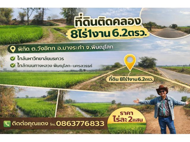 ที่ดินแปลงใหญ่ ติดคลอง น้ำใช้ตลอดปี ขนาด 8 ไร่กว่า ทำเลใกล้มหาวิทยาลัยนเรศวร เพียง 6 กิโลเมตร
