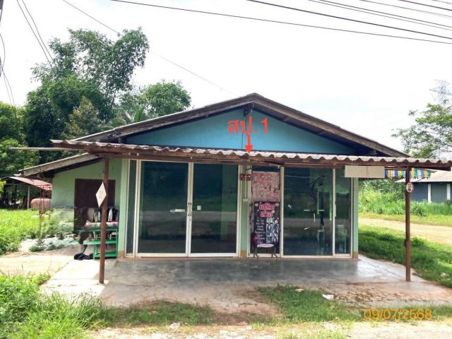 ขาย บ้านเดี่ยว สุราษฎร์ธานี   อำเภอ พุนพิน จังหวัด สุราษฎร์ธานี