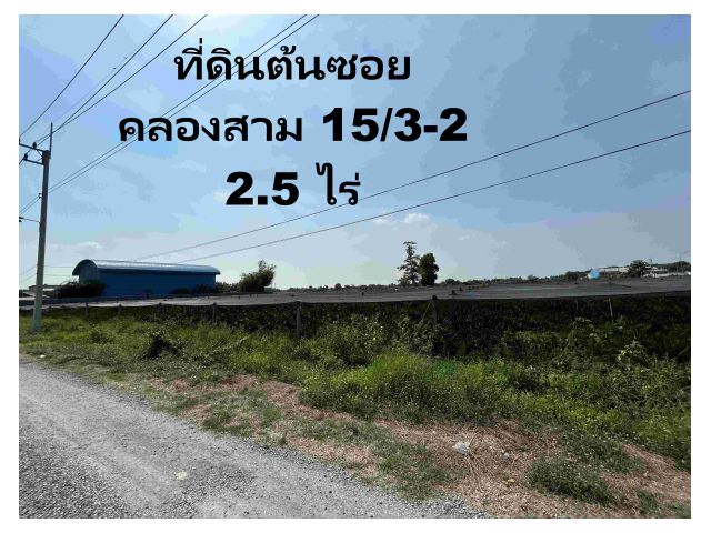 ด่วน เจ้าของขาย 2.5ไร่ ต้นซอย คลองสาม รังสิต