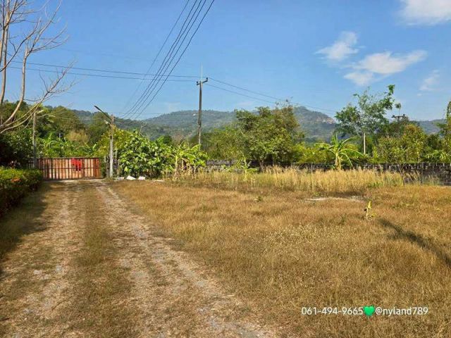 ขายบ้านสวน ห่างชายเขาเพียง 200เมตร ใกล้น้ำตกคลองมะเดื่อ