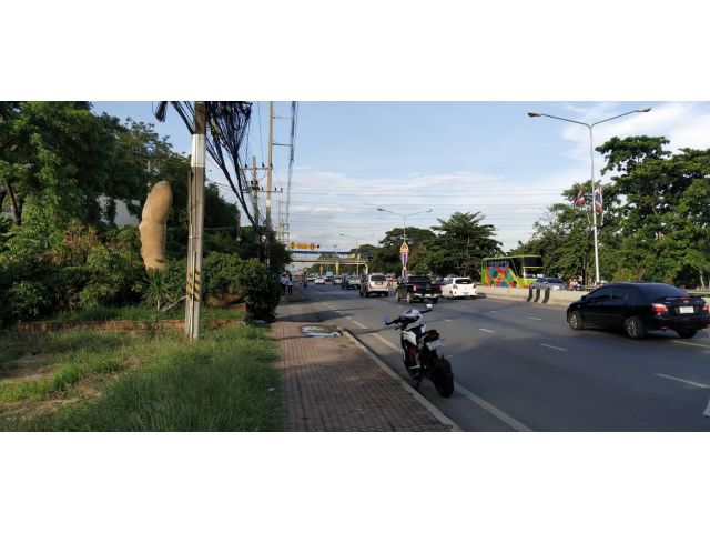 ขายที่ดิน 2 ไร่ ถนนรังสิต-นครนายก ติดศูนย์โตโยต้าคลอง7 ติดโลตัสคลอง7 อ.ธัญบุรี จ.ปทุมธานี