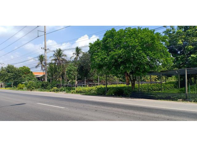 ขายที่ดิน 100 ไร่ คลอง14 ติดถนนรังสิต-นครนายก ใกล้มหาวิทยาลัยศรีนครินทรวิโรฒ อ.องครักษ์ จ.นครนายก