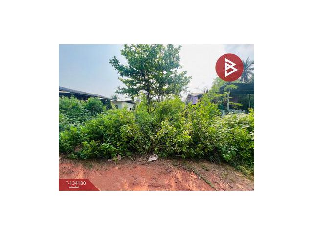 ขายที่ดิน เนื้อที่ 1 งาน ลาดใหญ่ สมุทรสงคราม