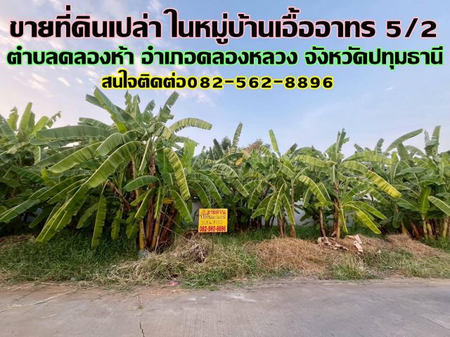 ขายที่ดินเปล่า ในหมู่บ้านเอื้ออาทร 5/2 คลองหลวง