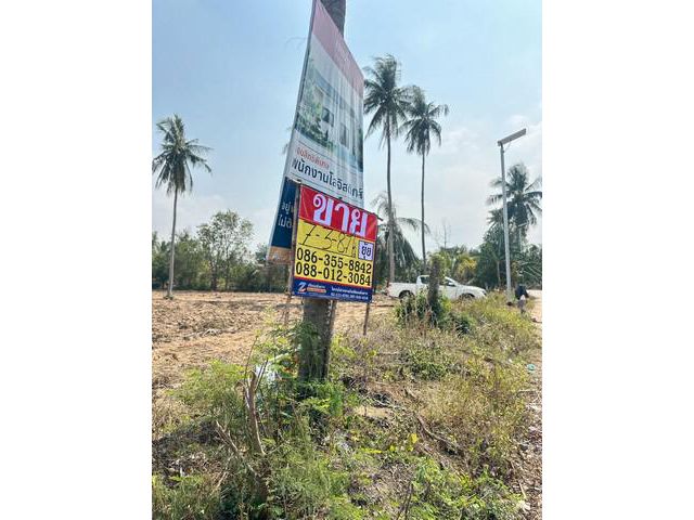 ขายที่ดิน  7-3-87 ไร่   ถนนศรีราชา-หนองค้อ ซอย14  สุรศักดิ์  ศรีร