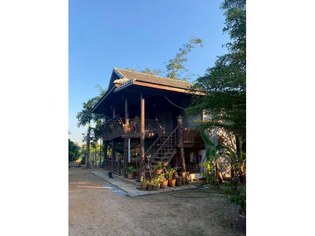 ขายบ้านและที่ดินในเมืองลำพูน เกษตรผสมผสาน ไฟ+น้ำมีครบ ฟรีโอนโปรปี69