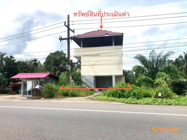 ขาย บ้านเดี่ยว สุราษฎร์ธานี อำเภอ ดอนสัก จังหวัด สุราษฎร์ธานี