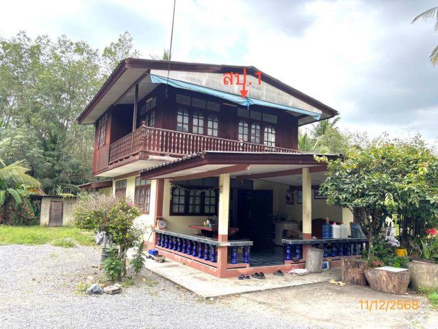 ขาย บ้านเดี่ยว สุราษฎร์ธานี อำเภอ กาญจนดิษฐ์ จังหวัด สุราษฎร์ธานี