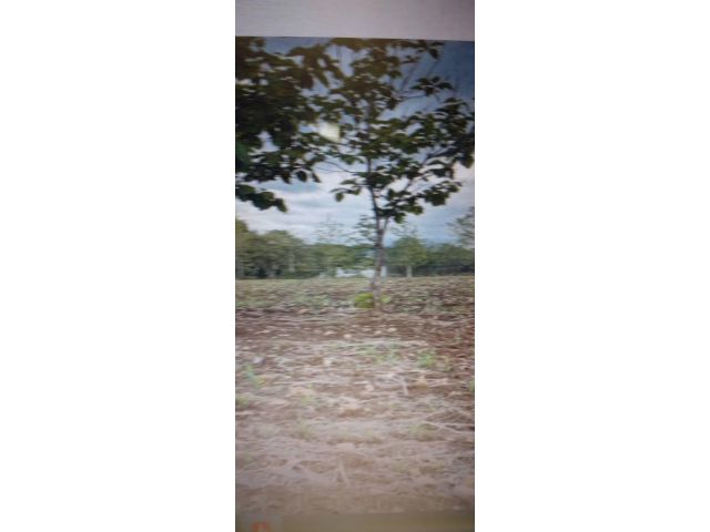 SALE LARGE LAND 158,400 sqm Mae Kasa Subdistrict, Mae Sot District, Tak