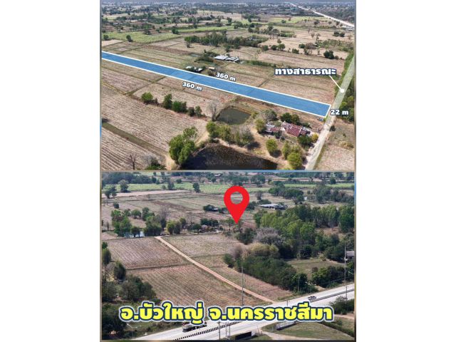 ╰┈►►ถูกที่สุดในโซน! ขายที่นา 5 ไร่ 1.6 ล้าน (ไร่ละ 3.2 แสน) ใกล้ถนน ทล.202 บัวใหญ่ โคราช