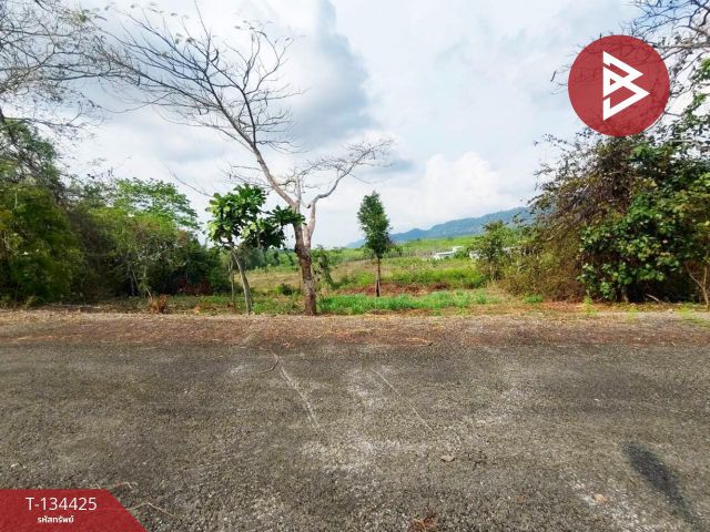 ขายที่ดิน เนื้อที่ 1 ไร่ 46 ตร.วา แก่งหางแมว จันทบุรี