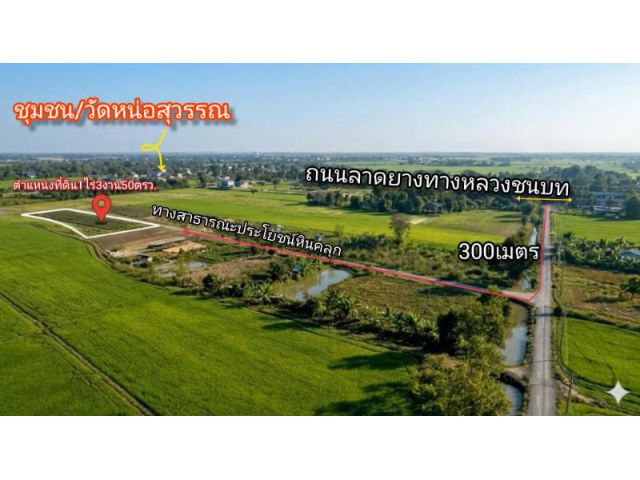 ราคาถูก เหมาะทำบ้านสวน อำเภอเมืองสุพรรณบุรี 1 ไร่ 3 งาน 50 ตารางวา