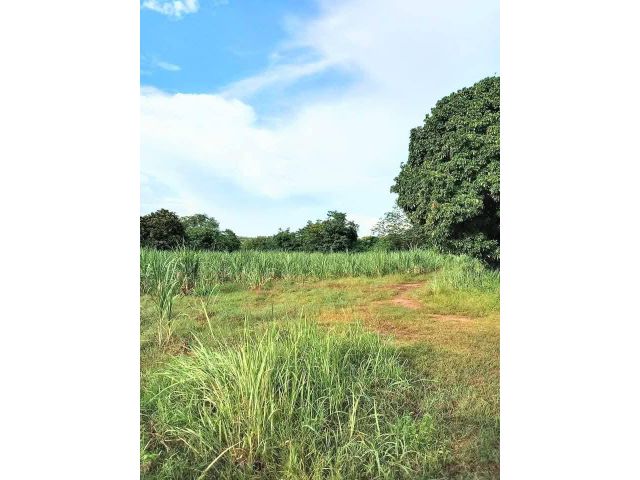 ที่ดินติดแหล่งน้ำ ใกล้ชุมชนและที่ว่าการอำเภอ อ.ท่าปลา อุตรดิตถ์
