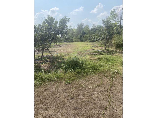 ขายที่ดิน7ไร่ หนองตะพาน บ้านค่าย ระยอง