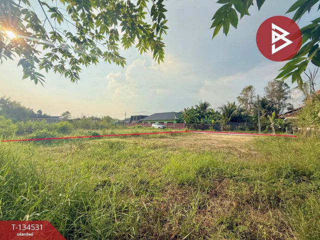 ขายที่ดิน เนื้อที่ 1 งาน สามพราน นครปฐม