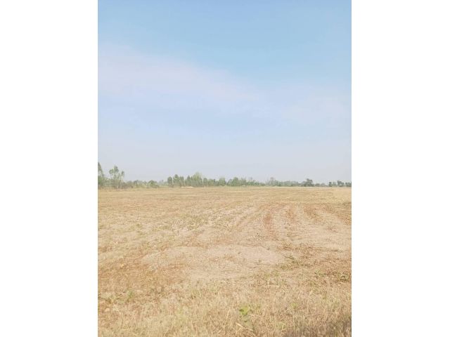 ขายที่ดิน 56 ไร่
