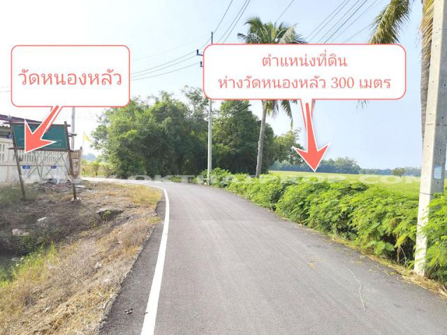 ที่ดิน ถ.สระบุรี-อยุธยา อ.หนองแซง จ.สระบุรี