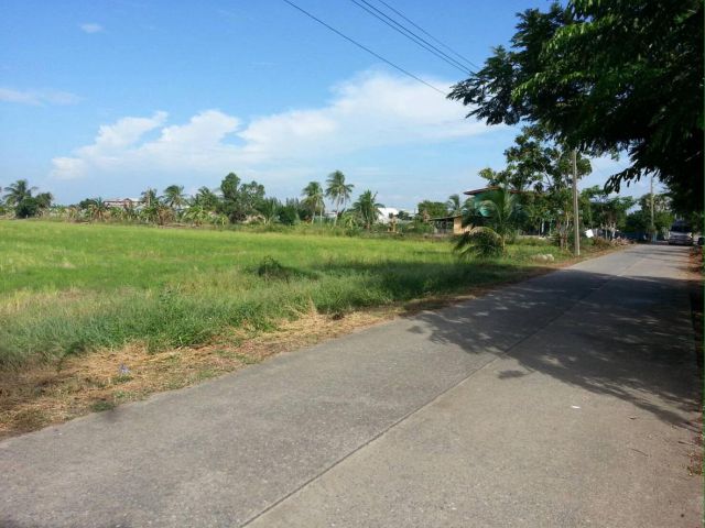 ขายที่ดิน 11 ไร่ ติดถนนคอนกรีต ใกล้ถนนวงแหวนตะวันตก อ.สามโคก จ.ปทุมธานี