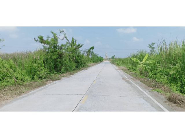ขายที่ดิน 14 ไร่ คลองแปด ถนนรังสิต-นครนายก อ.ธัญบุรี จ.ปทุมธานี