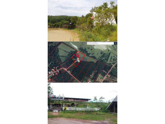 เปิดขาย! ที่ดิน 10 ไร่ บึงกาฬ ทำเลศักยภาพ เหมาะต่อยอดธุรกิจสวนอาหาร-รีสอร์ท