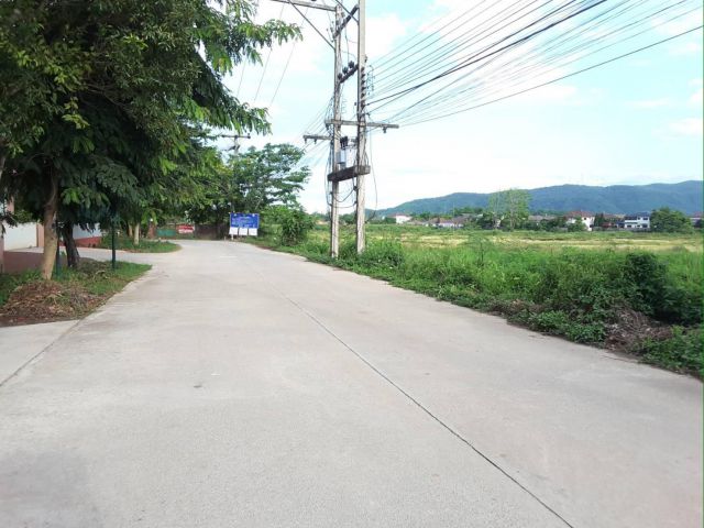 ขายที่ดิน 31 ไร่ ใกล้โฮมโปร ท่าสาย เมืองเชียงราย