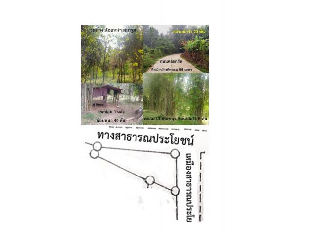 ขายที่โฉนด ขนาด 3 งาน 27 ตรว.ราคา 600,000 บาทพร้อมโอน ที่สวนผสมผสานแปลงสวยหน้ากว้างติดถนนใกล้เซเว่นและตลาดสดเพียง 1 กม.