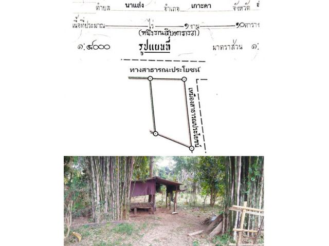 ขายที่ดิน ขนาด 110 ตรว. ราคา 220,000 แปลงที่ 3 แปลงสวยเหมาะสำหรับสร้างบ้านพักอาศั (**ผ่อนได้ รวมโอน รวมเคลียร์พื้นที่**)