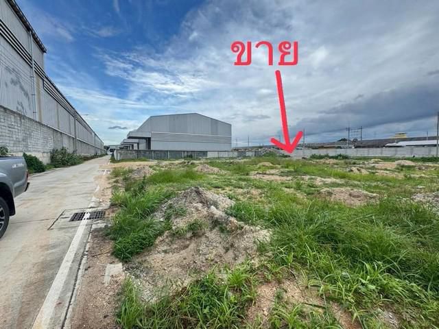 ขายถูก ที่ดินถมแล้ว 342.5 ตรว. ผังสีม่วง ซ.แสงฟ้า ถ.เทพารักษ์ กม.20  เหมาะสร้างโกดัง คลังสินค้า โรงงาน